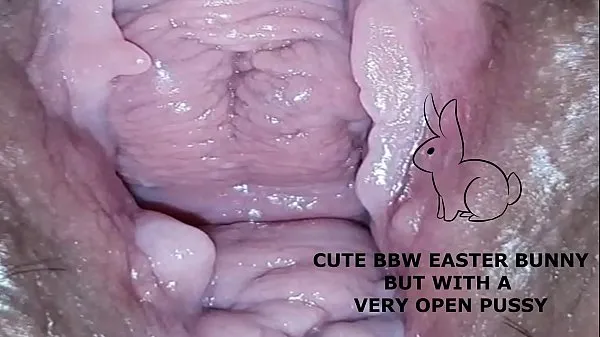Cute bbw bunny, but with a very open pussy 클립 영화 표시
