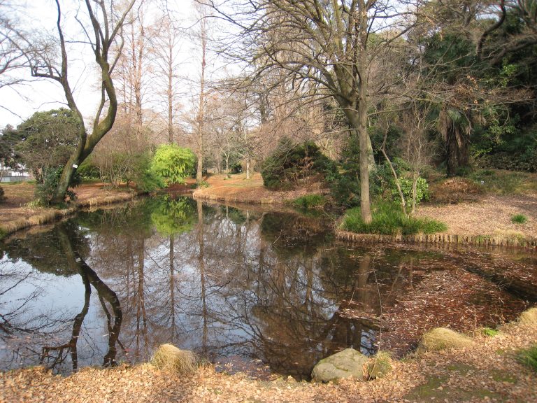 小石川植物園
