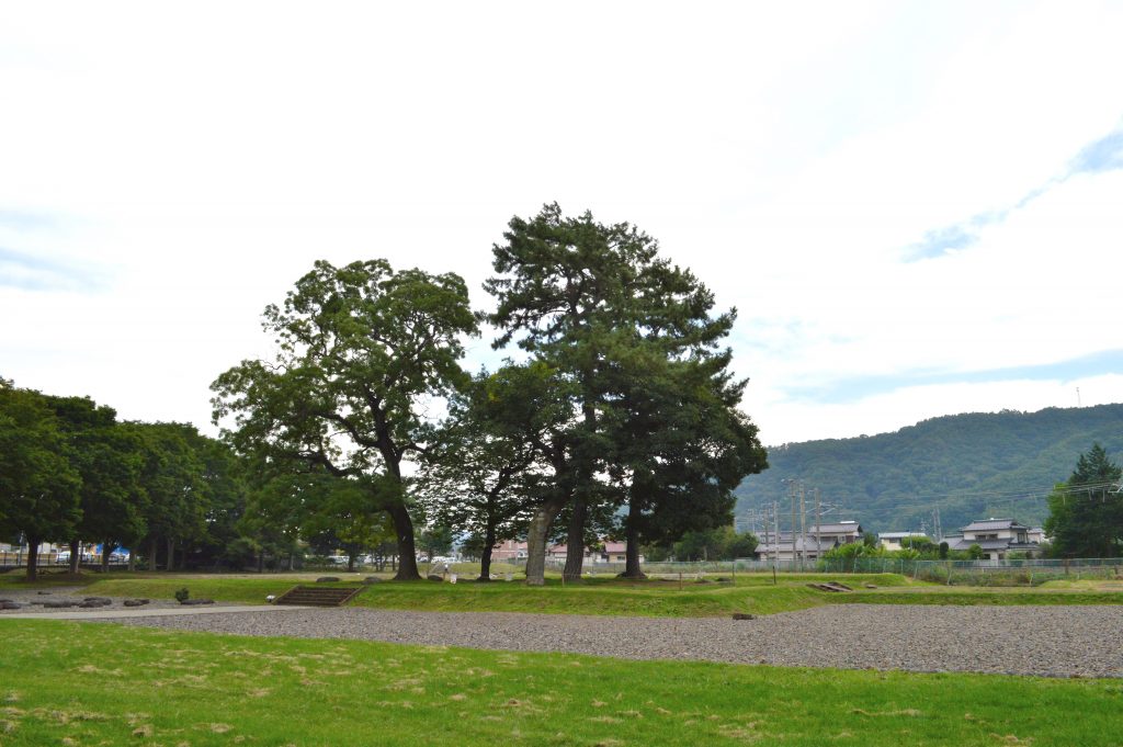 国分寺史跡公園